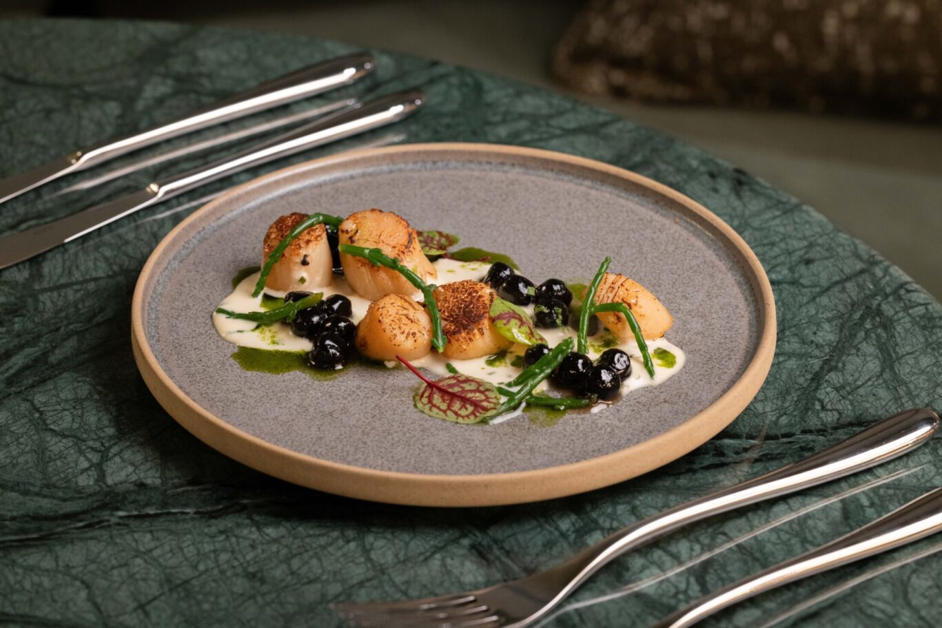 Montcalm_IMG_1617 (1)