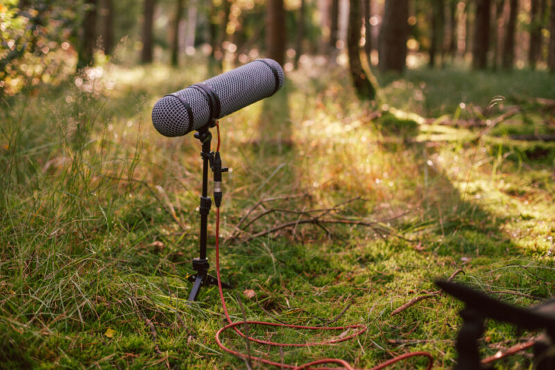 MindFidelity recording 1