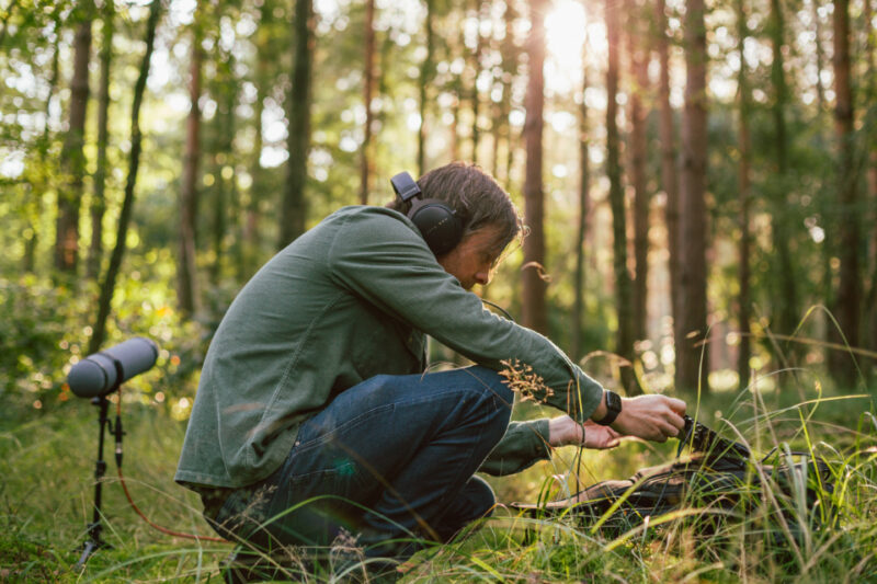 MindFidelity recording 4