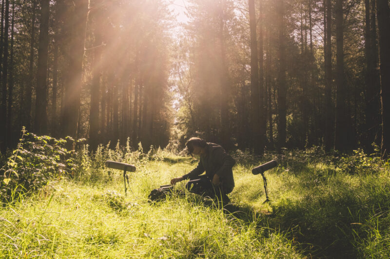 MindFidelity recording 8