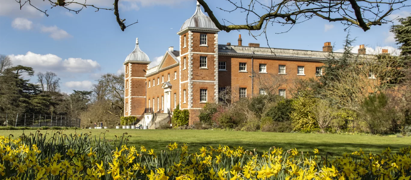 daffodils-at-osterley-national-trust-images-hugh-mothersole