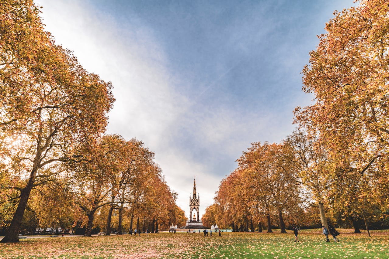 Two rows of autumn trees in Hyde Park, London, with blue skies overhead leading to a concrete monument.