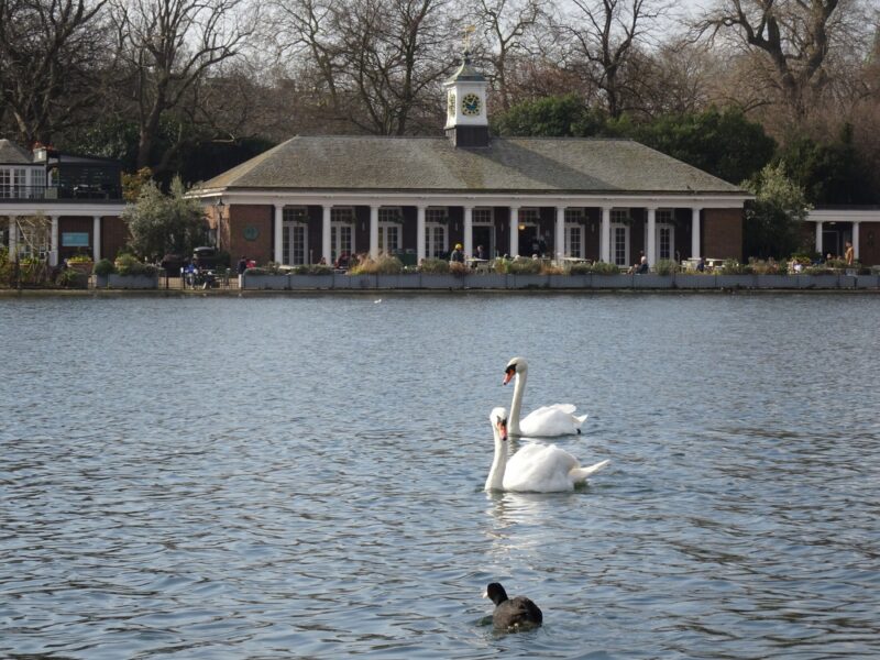 Serpentine Gallery Hyde Park London summer 2026 — free art in the park steps from Montcalm Collection hotels